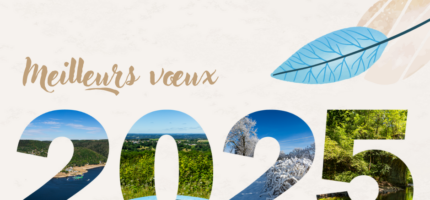 Meilleurs vœux 2025